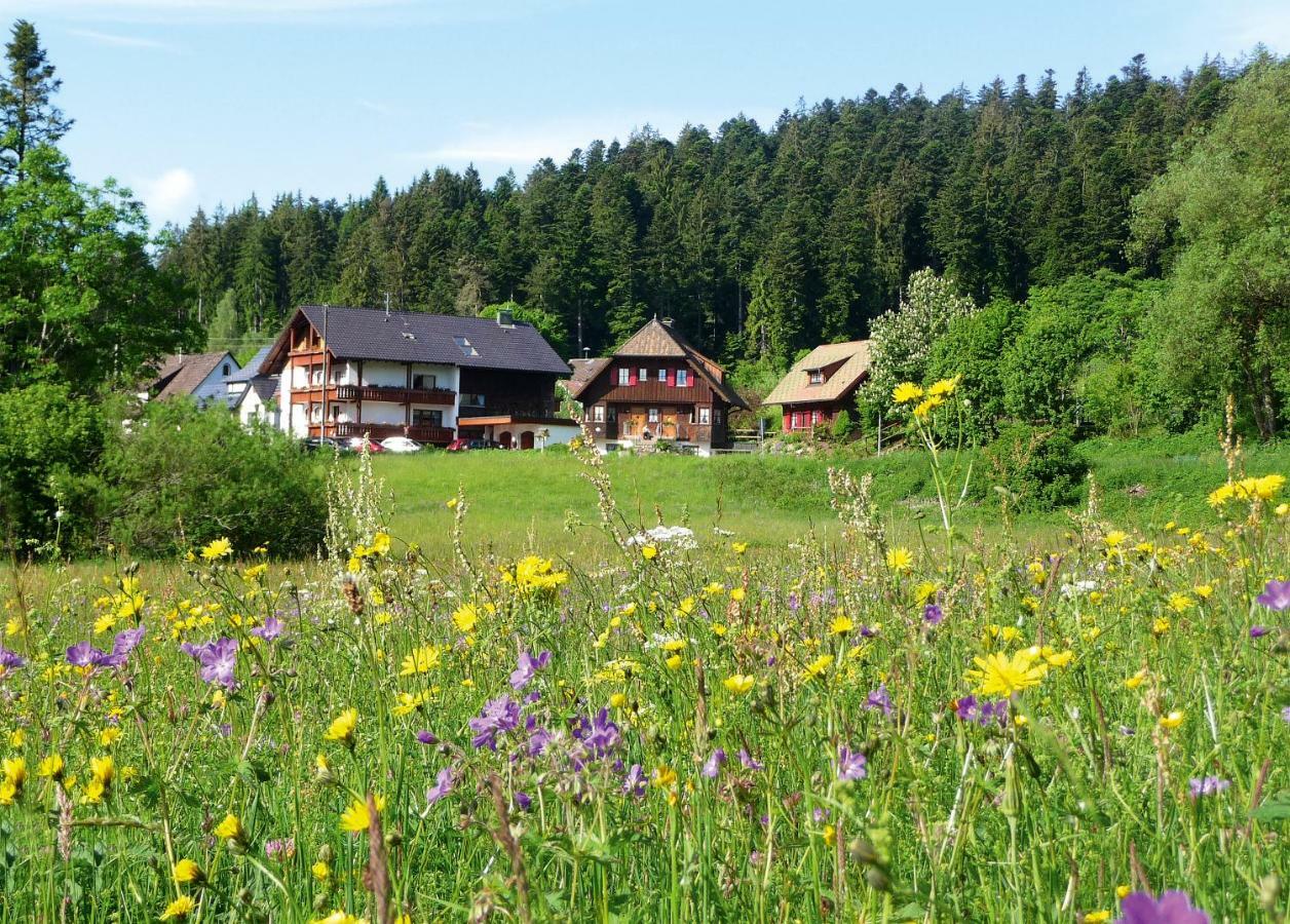 Landhaus Anja Фройденштадт Екстер'єр фото